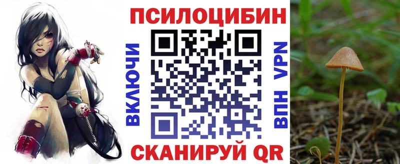 Псилоцибиновые грибы Magic Shrooms  магазин    Анапа 
